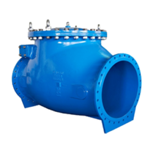 Swing Check Valve
