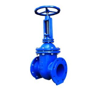 Flat body Gate Valve with rising spindle