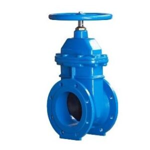 Resilient seated gate valve
